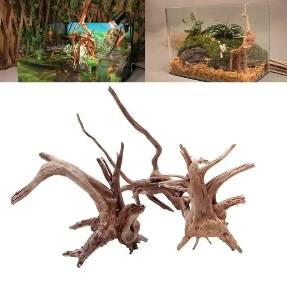 Aquarium Fish Gallery - Декор для аквариума из натурального коряги
