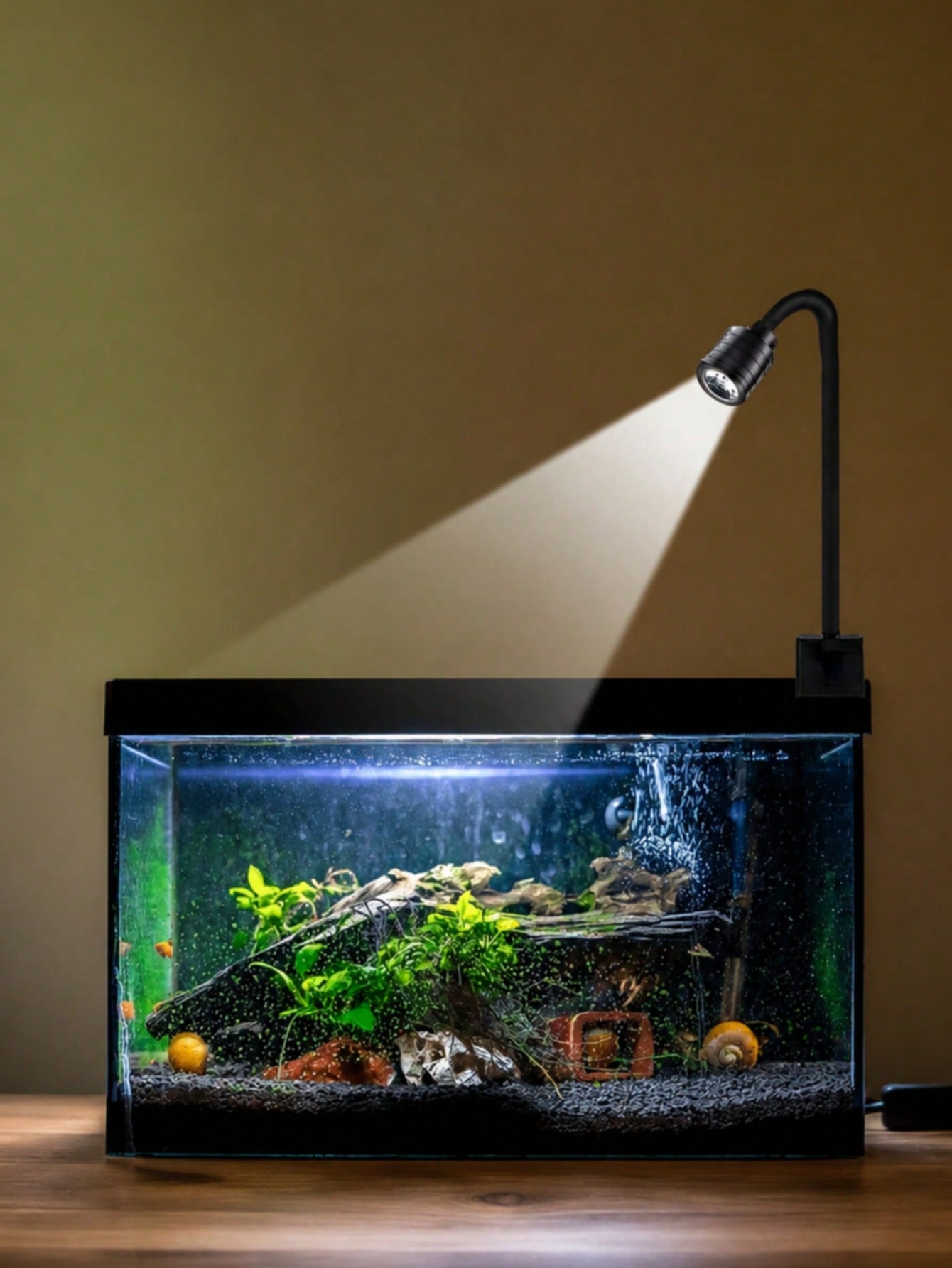 Aquarium Fish Goldfish - USB-светильники для аквариума, прожекторы Zoom South
