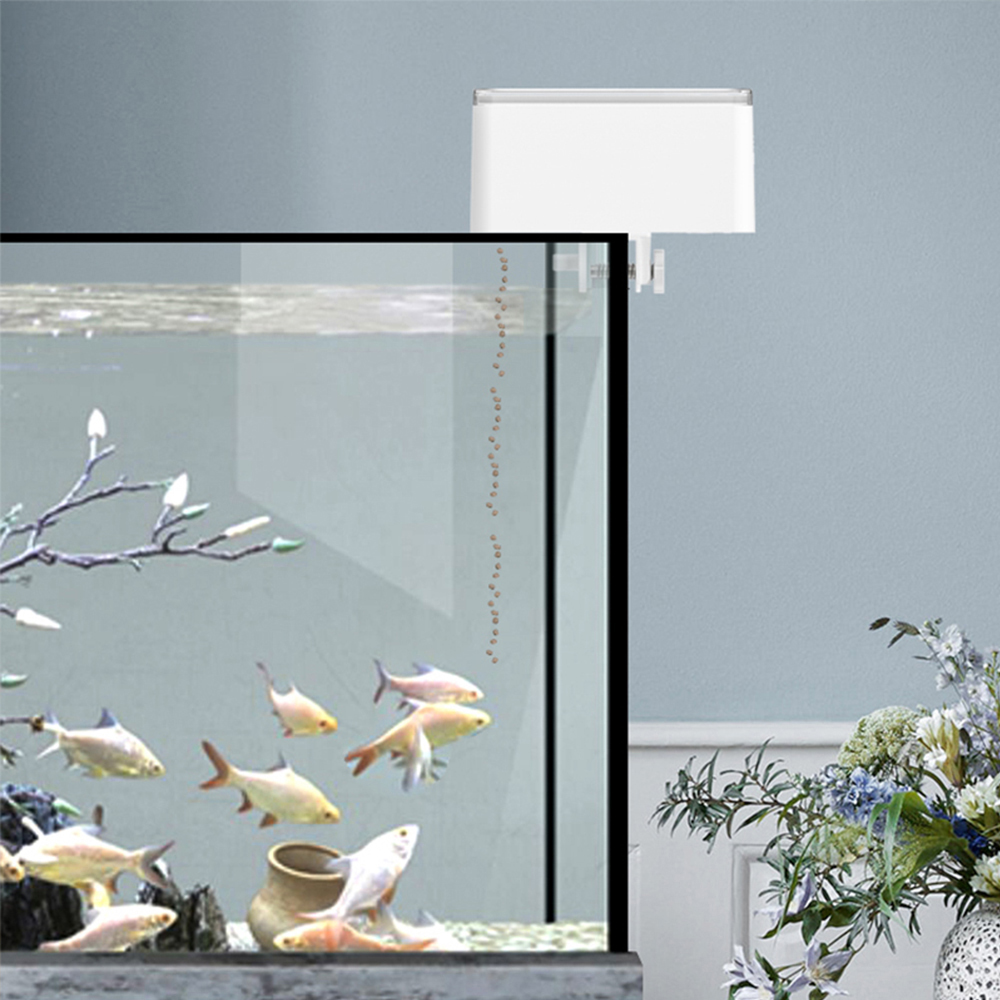 100 мл большая емкость кормушк – обзор и цена Aquarium Fish Goldfish