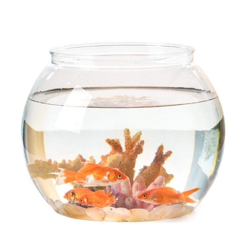 Портативный прозрачный аквариу – обзор и цена Aquarium Fish Goldfish