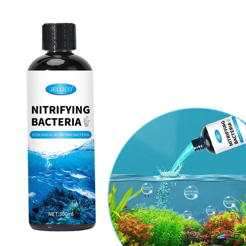 Нитрифицирующие бактерии, жидк – обзор и цена Aquarium Fish House