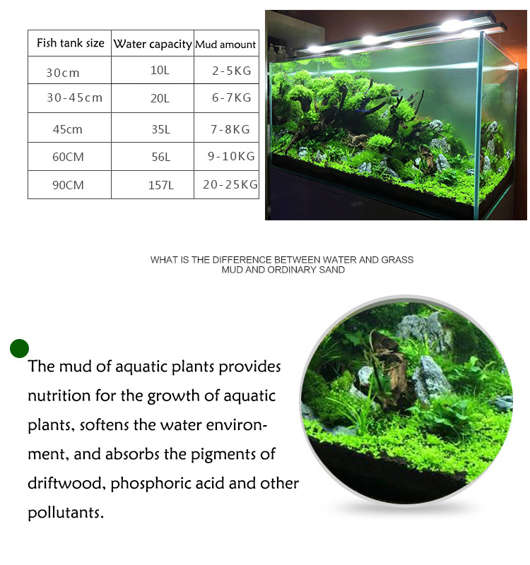 Семена аквариумных растений, п – обзор и цена Aquarium Fish Gallery