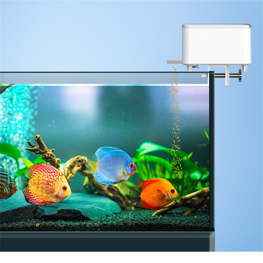Умная автоматическая кормушка  – обзор и цена Aquarium Fish Goldfish
